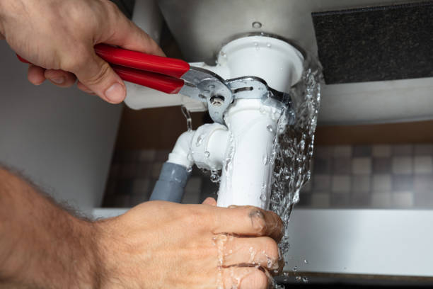 Best Water damage cleanup near me  in Chesilhurst, NJ
