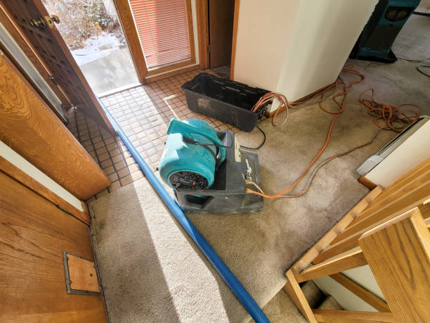 Best Basement water damage restoration  in Chesilhurst, NJ