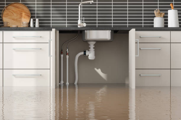 Best Water damage restoration experts  in Chesilhurst, NJ