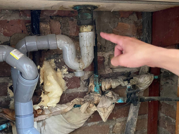Best Emergency water damage restoration  in Chesilhurst, NJ