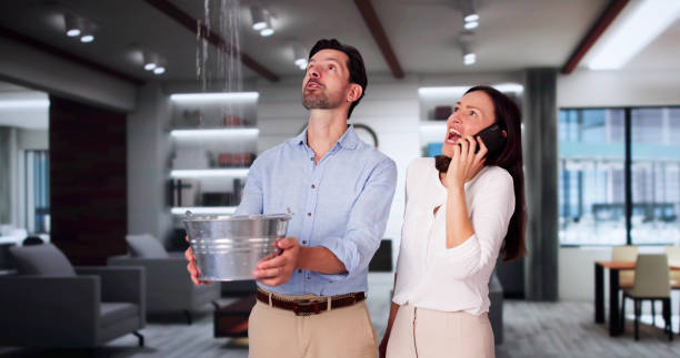 Reliable Chesilhurst, NJ Water damage restoration Solutions