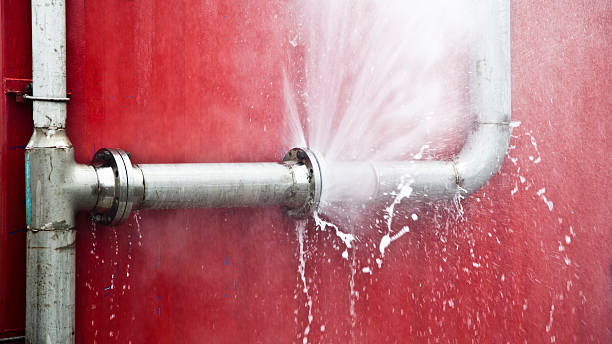 Best Water damage restoration near me  in Chesilhurst, NJ