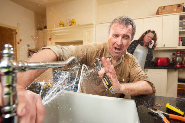 Best Flooded house restoration  in Chesilhurst, NJ